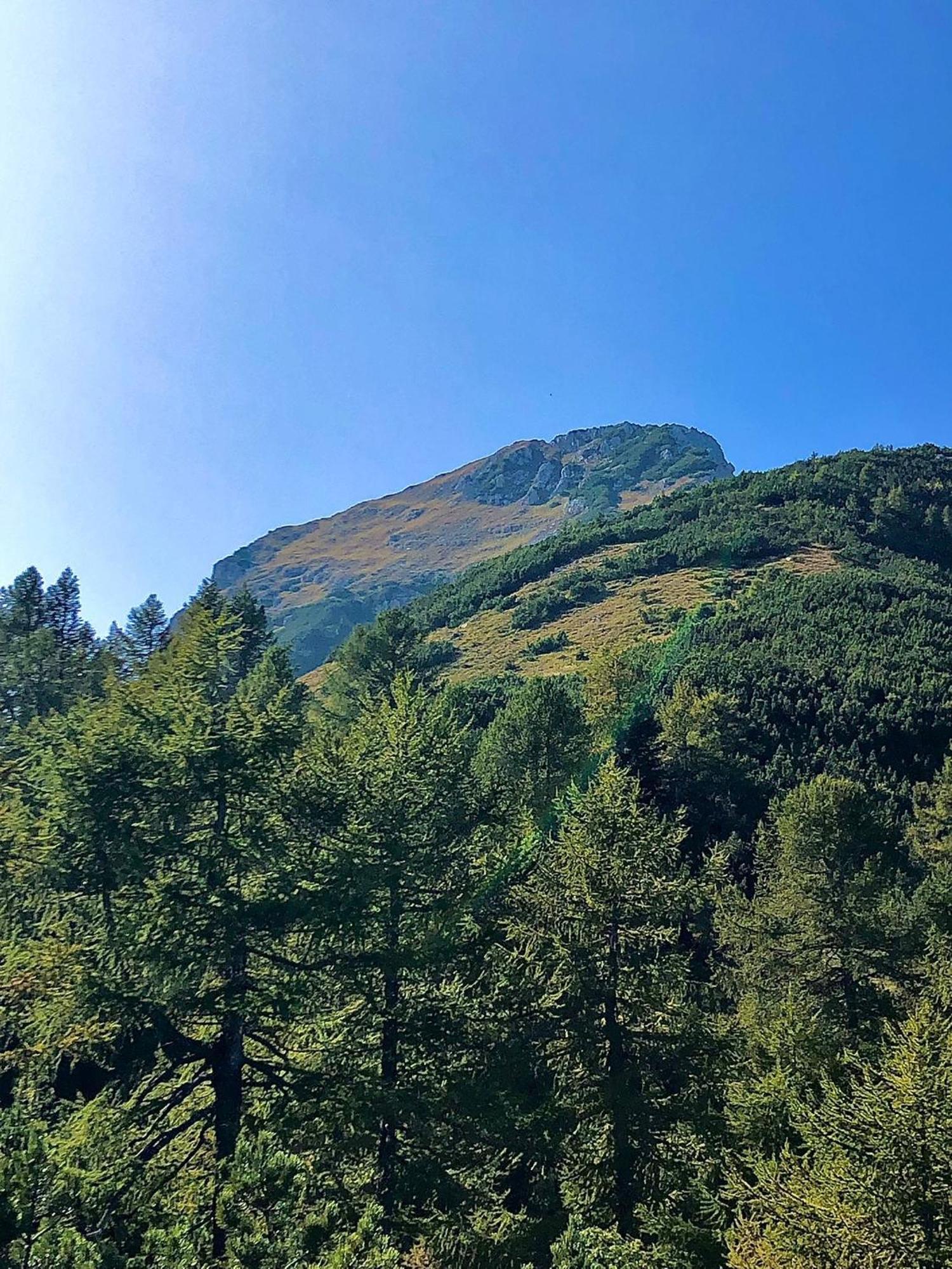 Brenta Luxury Chalet Sporminore Bagian luar foto