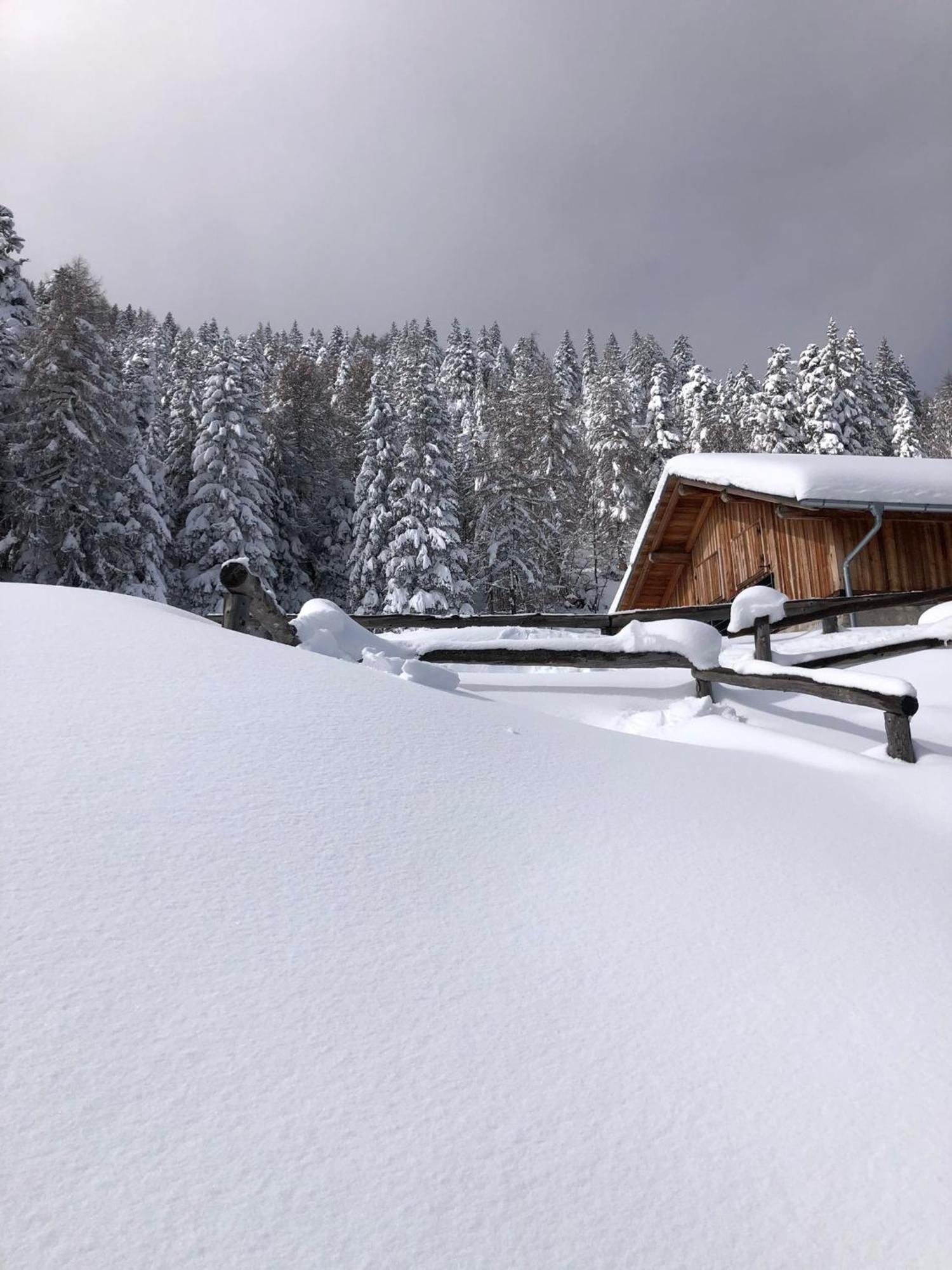 Brenta Luxury Chalet Sporminore Bagian luar foto